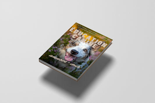 Formation sur l'éducation canine