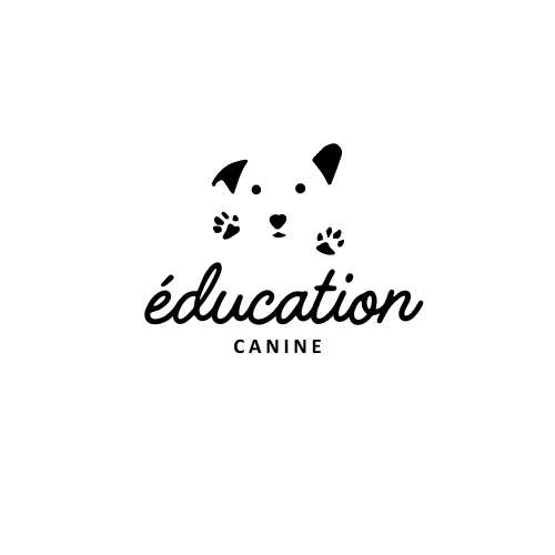 Guide sur l'éducation canine